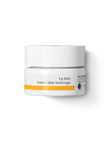 Crema Labial Antiarrugas - Dr. Hauschka | Fahle Ecolines