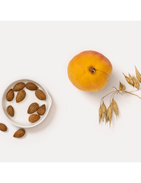 Crema de Albaricoque - Dr. Hauschka | Fahle Ecolines