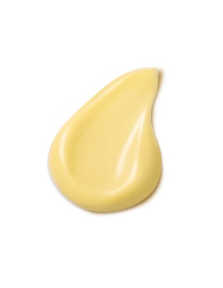 Crema de Cydonia - Dr. Hauschka | Fahle Ecolines