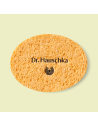 Esponjas