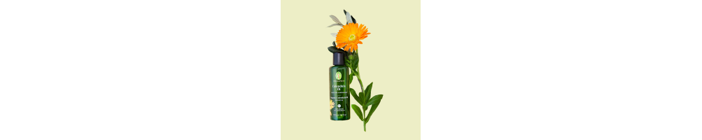 Aceites base vegetales
