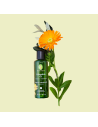 Aceites base vegetales